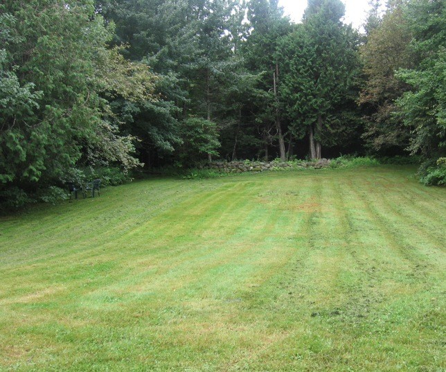 Frisch gemähte Wiese – Schrappnasch Gartenservice